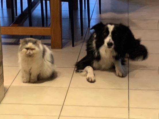 Walter et Ramese 