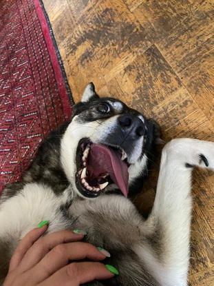Maddie la timbrée 🤪