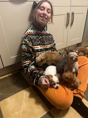 Moi avec les animaux de mes proches 
