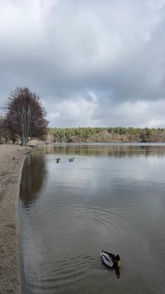 Lac d’Aydat