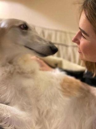 Ma chienne Volga 