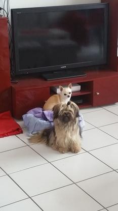 Lord en compagnie de la douce Louise 