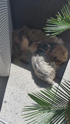 Lord en compagnie de Jackson . 