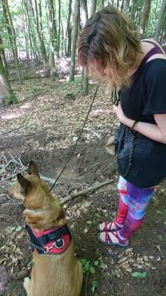 Promenade en forêt de la Petite-Pierre avec mon Fébus