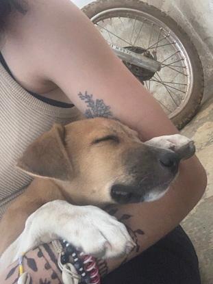 Horus, mon 2e bébé/animal rien qu’à moi, trouvé et adopté au Sénégal il y a 5 mois ❤️