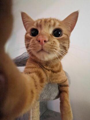 Et Pouick!