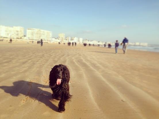 ballade grande plage