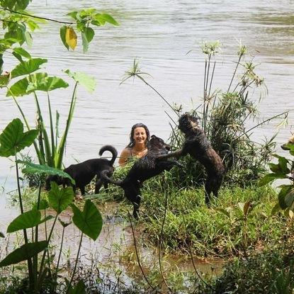 refuge de chiens en thailande et moi