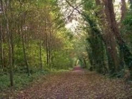 à 30 min à pied du Bois du caprice 