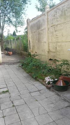 Notre cour et son parterre de tomates 