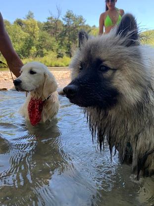 Marley tito avec un copain