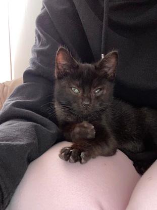 Tim, 3 mois remplis d’amour