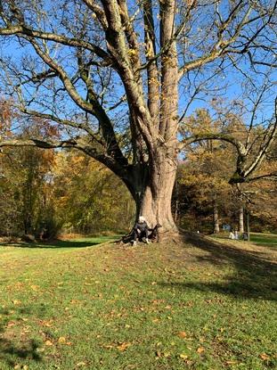 Le parc à côté de chez moi