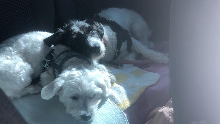 Avec sa meilleure amie