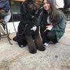 Salma: Dog sitter à paris