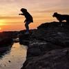 Creniaut: Dog Sitter à Melleray, maître d'un super Border Collie et d'un merveilleux chat !
