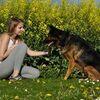 Flavie: Dog sitter à Achiet-le-Grand