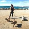 Ethel: Dogysitter à la plage ! ♥️🏖