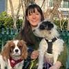 Charlotte: Dogsitteuse professionnelle et certifiée 