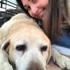 Mathilde: Dog sitter sur le canton de Fayence
