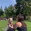 Inès: Dog sitter à Bordeaux