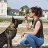 Julia: Promenades canines, communication animale 