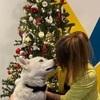 Tania: Dog sitter passionnée