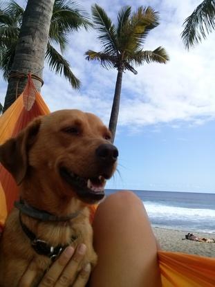 Instant repos-hamak-plage à la Réunion avec ma Mia