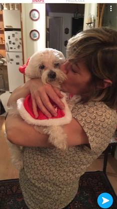Mon petit chien Clafoutis et ma mère à Noël. Il a eut 11 ans cette année et est malheureusement tres malade mais on lui apporte tout l’amour possible