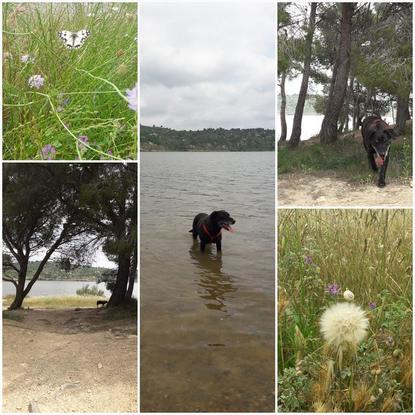 Balade Nature pour Jump