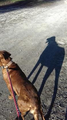 Moi et mon chien Paquito au parc de la lère à Caussade 