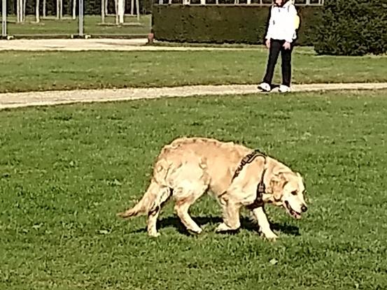 Parc de Sceaux avec Otis