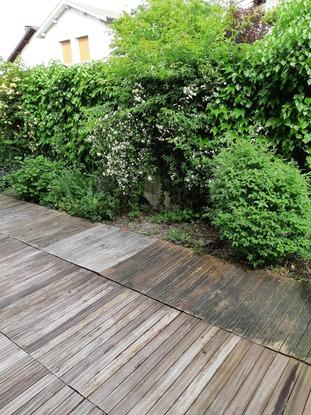 Le jardin de 40m2  où vos chiens pourront s'amuser il est totalement fermé donc pas de risque qu'ils s'échappent !