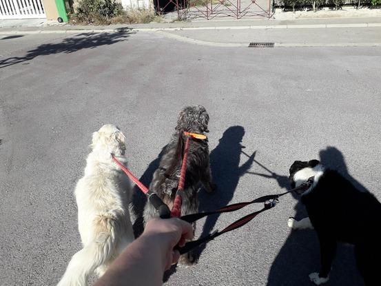 Top départ pour la balade...