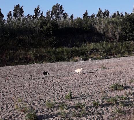 Après quelques jours de connaissance, seulement si le rappel est bon...balade en pleine nature...