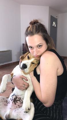 Mon amie et moi avons gardé un beagle chiot nommé Bali 