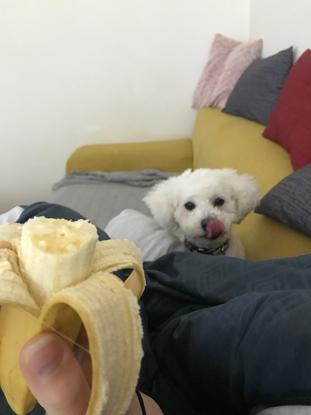 Banane ? 