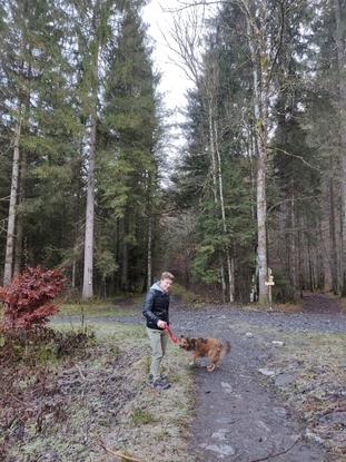 Balade en forêt avec Shina le chien de ma meilleure amie