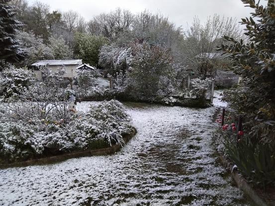 Une partie du jardin sous la neige, cette hiver.