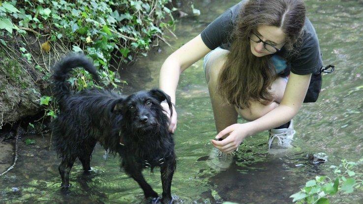 Désensibilisation à l'eau (2)