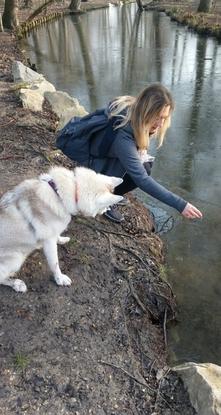 Cette chien adore l'eau. Mais on lui montre qu'elle est un peu fraîche : gelée. 