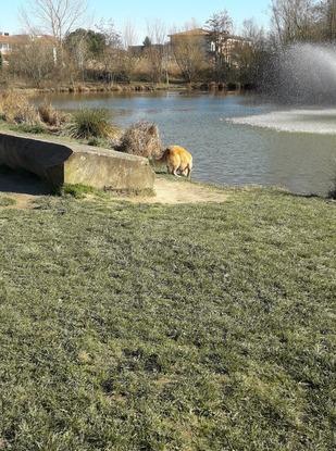 Parc à côté de chez moi