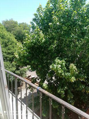 Mon balcon/ terasse