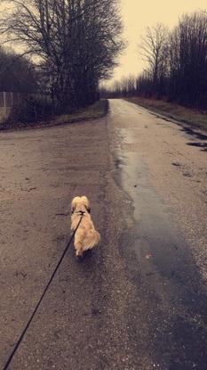 Promenade sous la pluie, rien nous arrêtes 😀