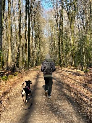 Trail en Forêt de Rennes avec Pouka