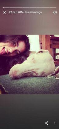With my lovely dog Avril who is living in Colombia :(