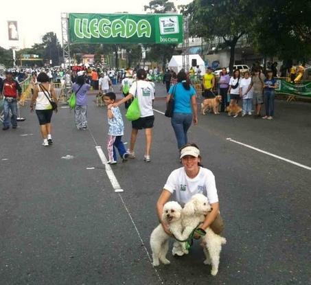 Course de chiens avec Pepe et Lola au Venezuela
