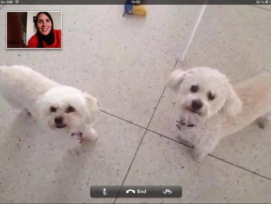 Discutant avec Pépé et Lola par skype