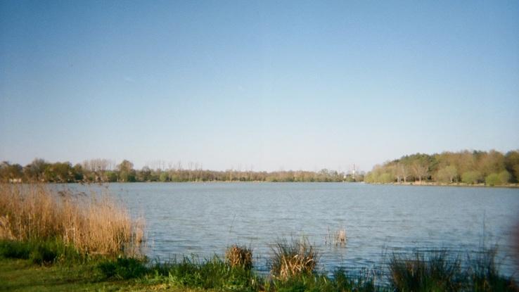 Lac de la Chausseliere, parfait pour les chiens 😁