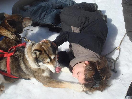 Trip en chien de traineau de 10 jours dans une réserve du canada